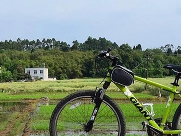 Private Chengdu Half Day Bike Tour
